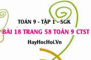 Bài 18 trang 58 Toán 9 tập 1 Chân trời sáng tạo